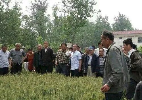 論土(tǔ)壤修複的突破點！