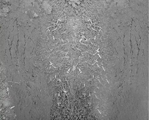 論土(tǔ)壤修複的突破點！