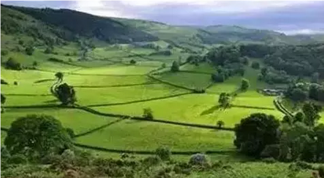 世界生(shēng)态農業典範——這6個國(guó)家的生(shēng)态農業做絕了