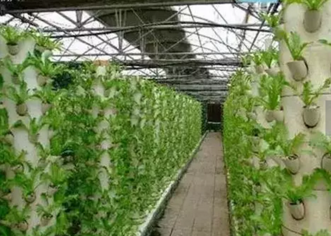 世界生(shēng)态農業典範——這6個國(guó)家的生(shēng)态農業做絕了