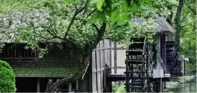 世界生(shēng)态農業典範——這6個國(guó)家的生(shēng)态農業做絕了