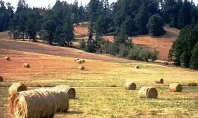 世界生(shēng)态農業典範——這6個國(guó)家的生(shēng)态農業做絕了