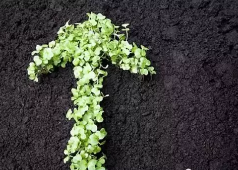 微生(shēng)物肥料是土(tǔ)壤生(shēng)态修複的“主力軍”