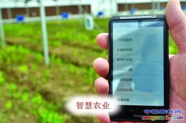 “生(shēng)态智慧農業”的實際運用及發展趨勢