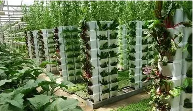 “生(shēng)态智慧農業”的實際運用及發展趨勢