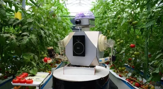 “生(shēng)态智慧農業”的實際運用及發展趨勢