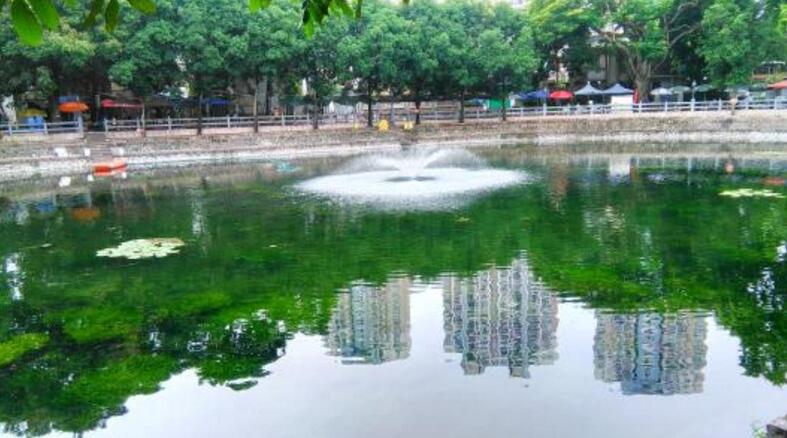 水體(tǐ)修複技術(shù) 水體(tǐ)修複技術(shù)